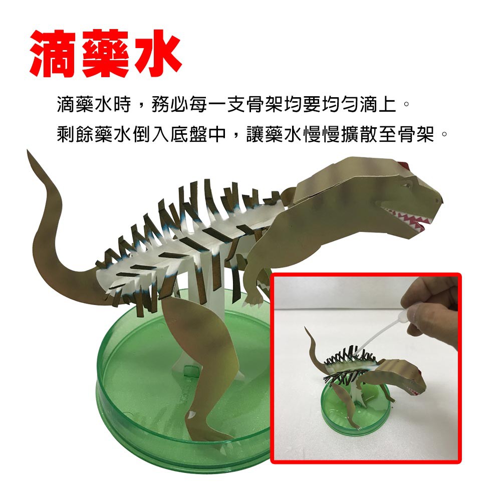 GS MALL 台灣製造 魔法開花成長恐龍樹 開花恐龍樹 恐龍樹 裝飾恐龍 開花樹 暴龍 神奇開花 成長樹 居家裝飾, , large