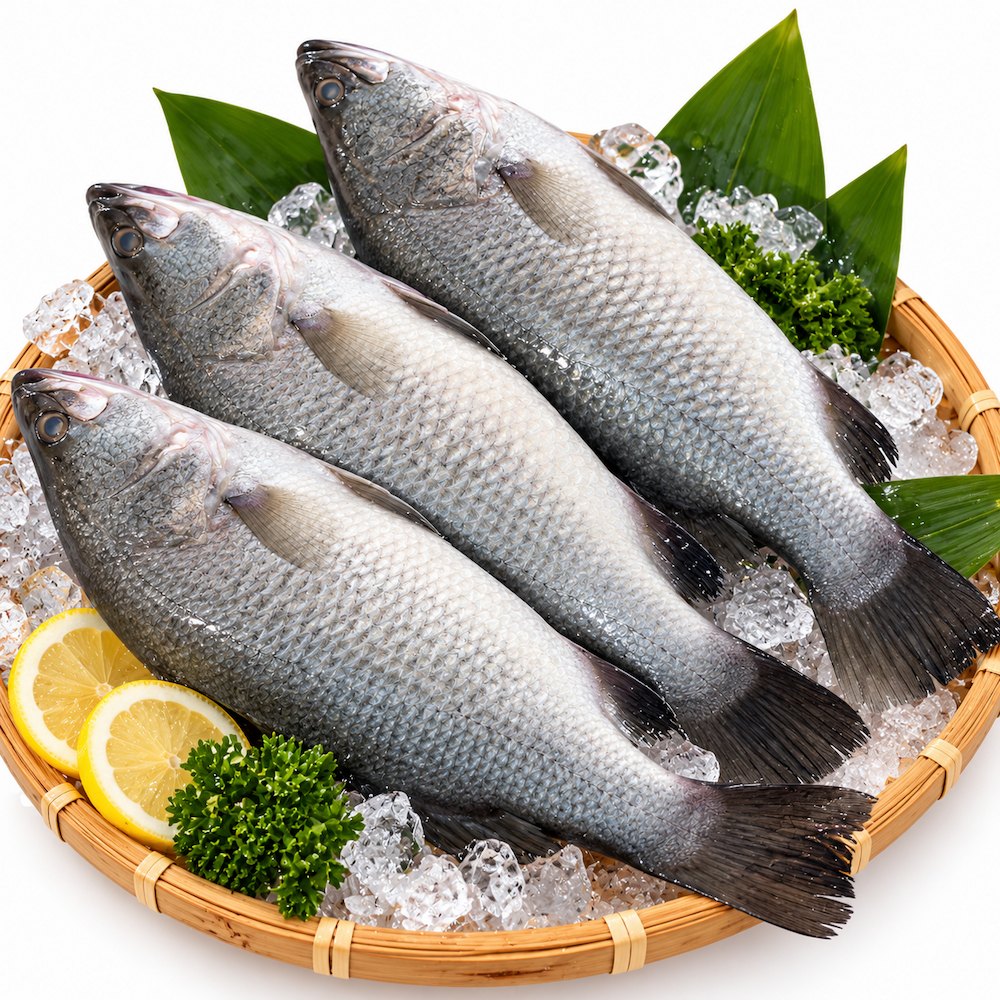 【吾家有貓-海鮮屋 】三去 新鮮活凍鱸魚整尾(海水)約600g, , large