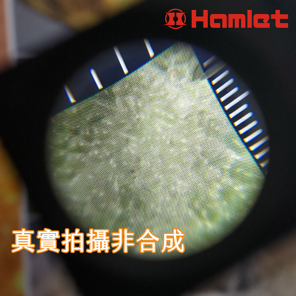 [Hamlet] 6x/30mm N261B, , large