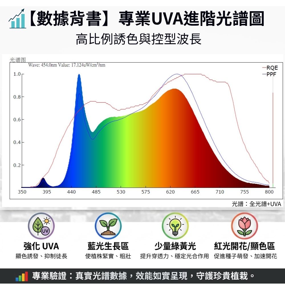 【君沛】100W全光譜UVA 強力補光植物燈 誘導上色 抑制徒長 防水防潮投射燈 居家陽台 龍舌蘭 多肉控型 專業生長燈, , large