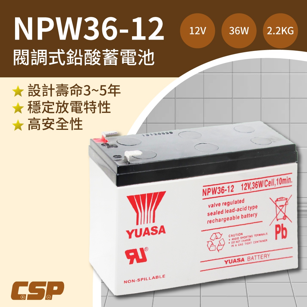 【YUASA】NPW36-12 (2pcs) 12V36W valve regulated sealed lead-acid battery ~ same size as REW45-12 High discharge rate UPS Uninterruptible power Lighting system Medical equipment, , large