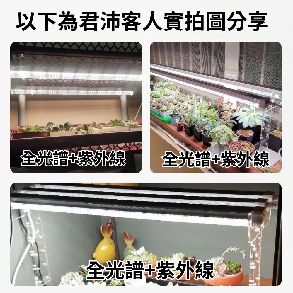 【君沛】UVA全光譜 4呎 T8植物燈管 25W 提升香氣 抑制徒長 香草植物推薦 羅勒薄荷 室內菜園層架補光, , large