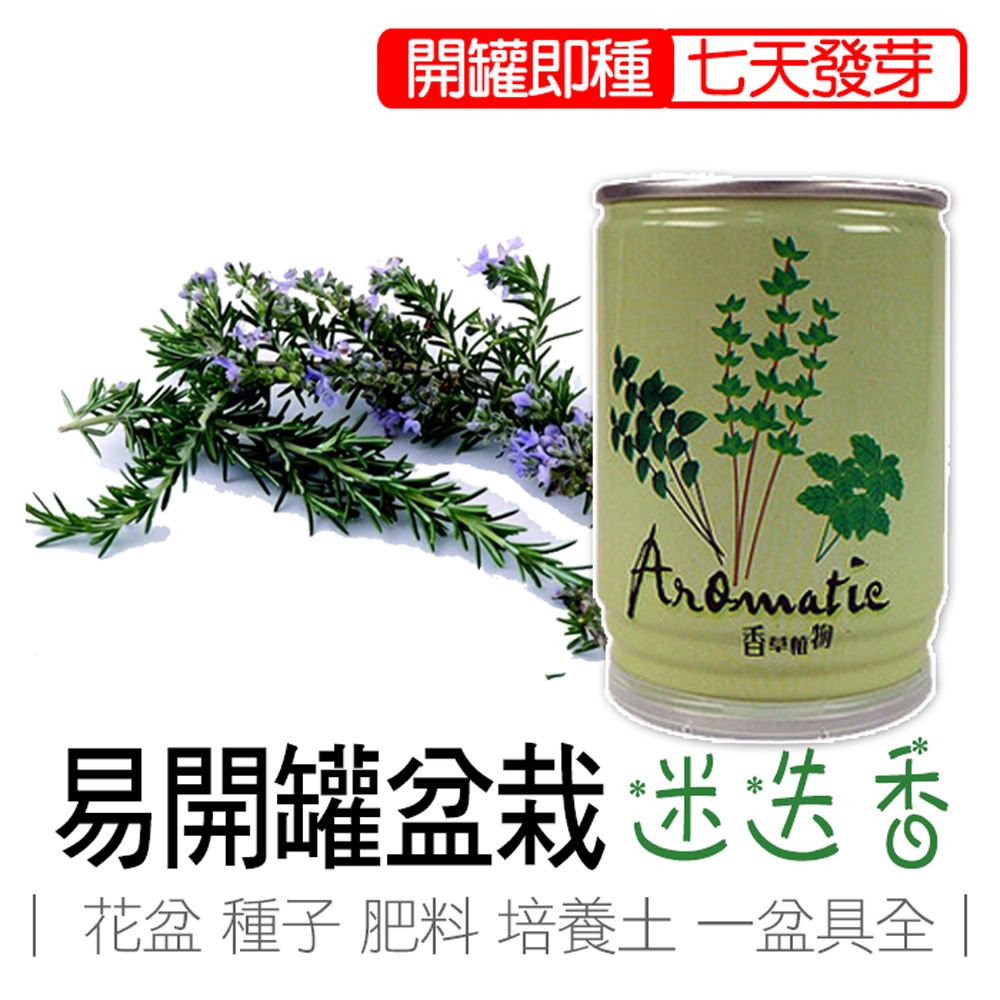 rosemary, , large