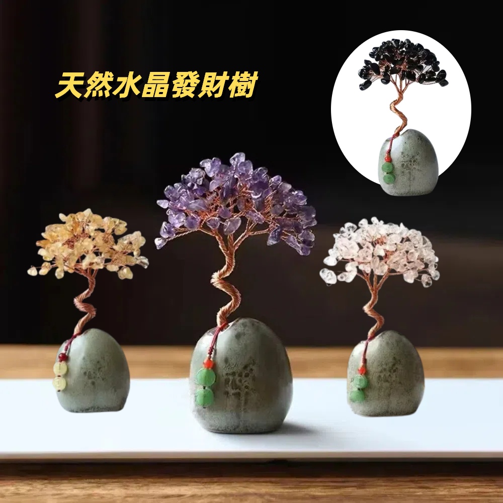 【A&R】發財水晶樹聚寶盆 創意盆栽款 任選, , large