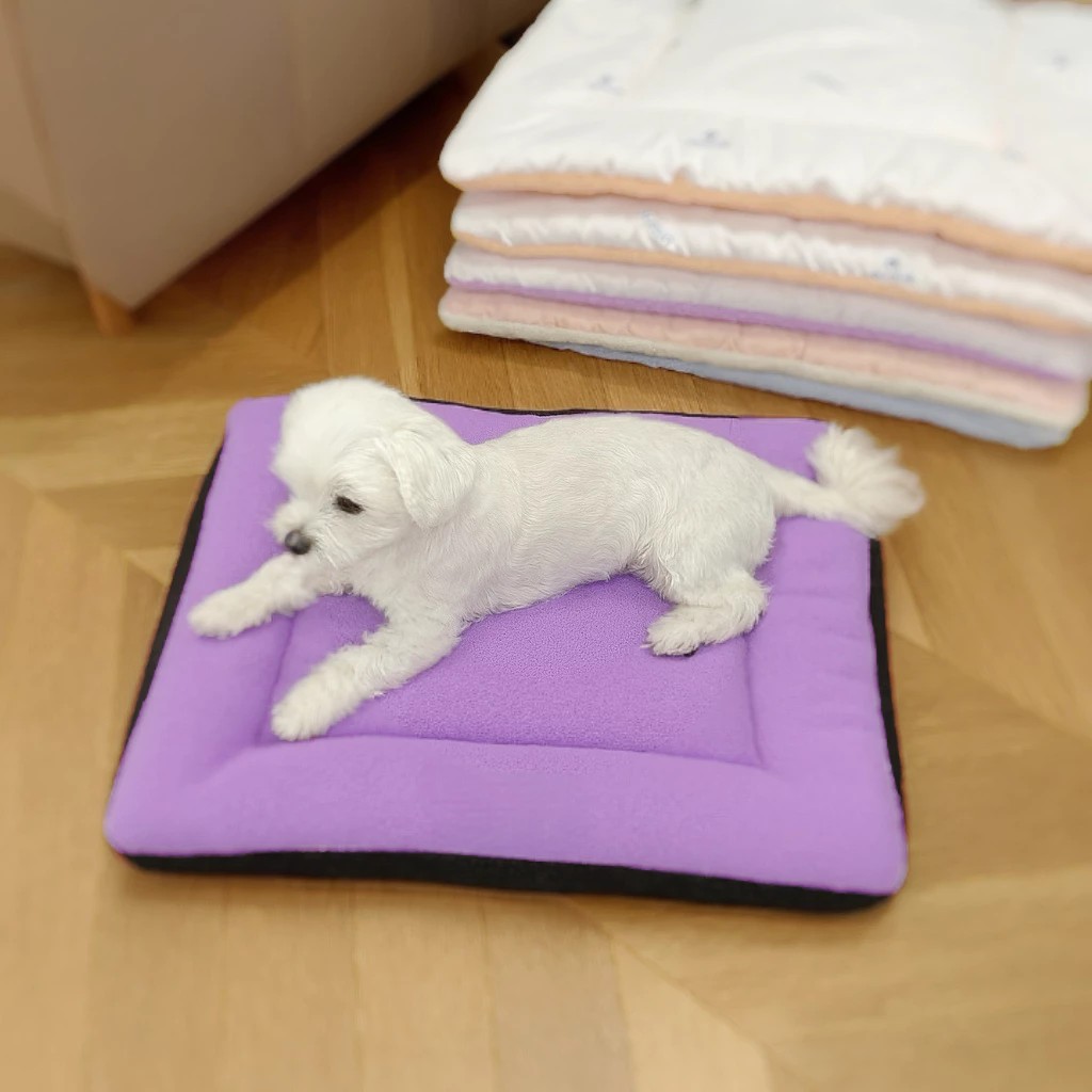 [CINN Official Store] Brand New‼️ [Set of 2] Pet Mat for Dogs & Cats &ndash; Odor-Resistant, Scratch-Resistant, Stain-Proof / All-Season Use / Nano Far-Infrared Multi-Purpose Energy Pad, , large