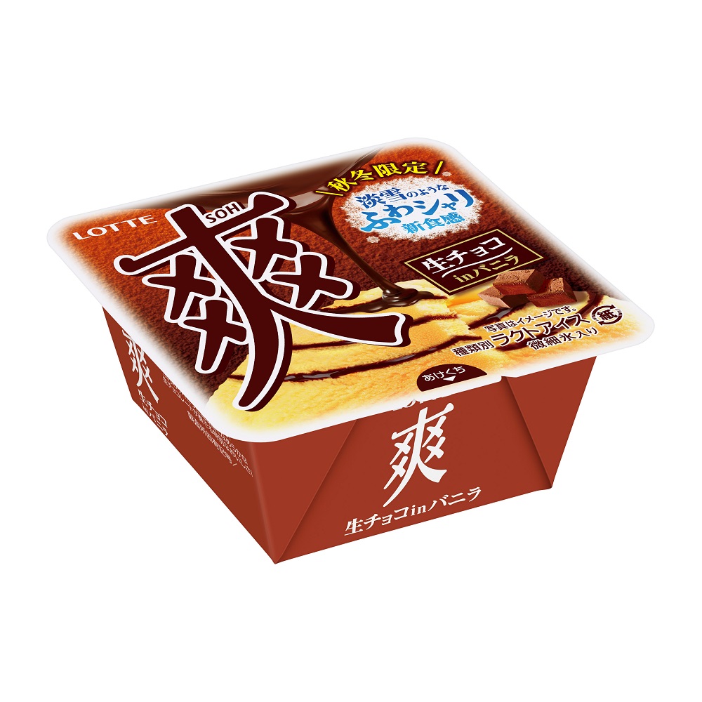 Lotte Chocolate Vanilla flavor sorbet, , large