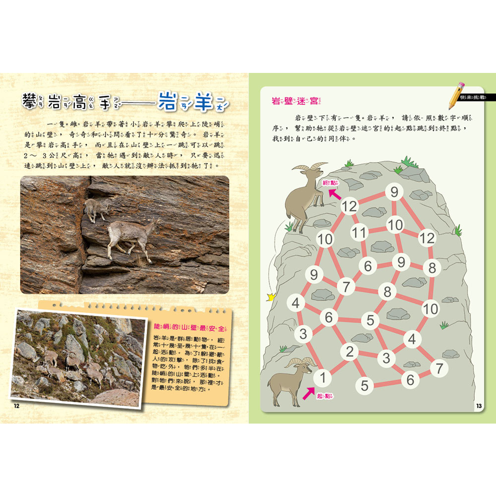 [小牛頓]PLAY&LEARN：高山探秘 適合5-8歲 平裝全彩 高階遊戲書, , large