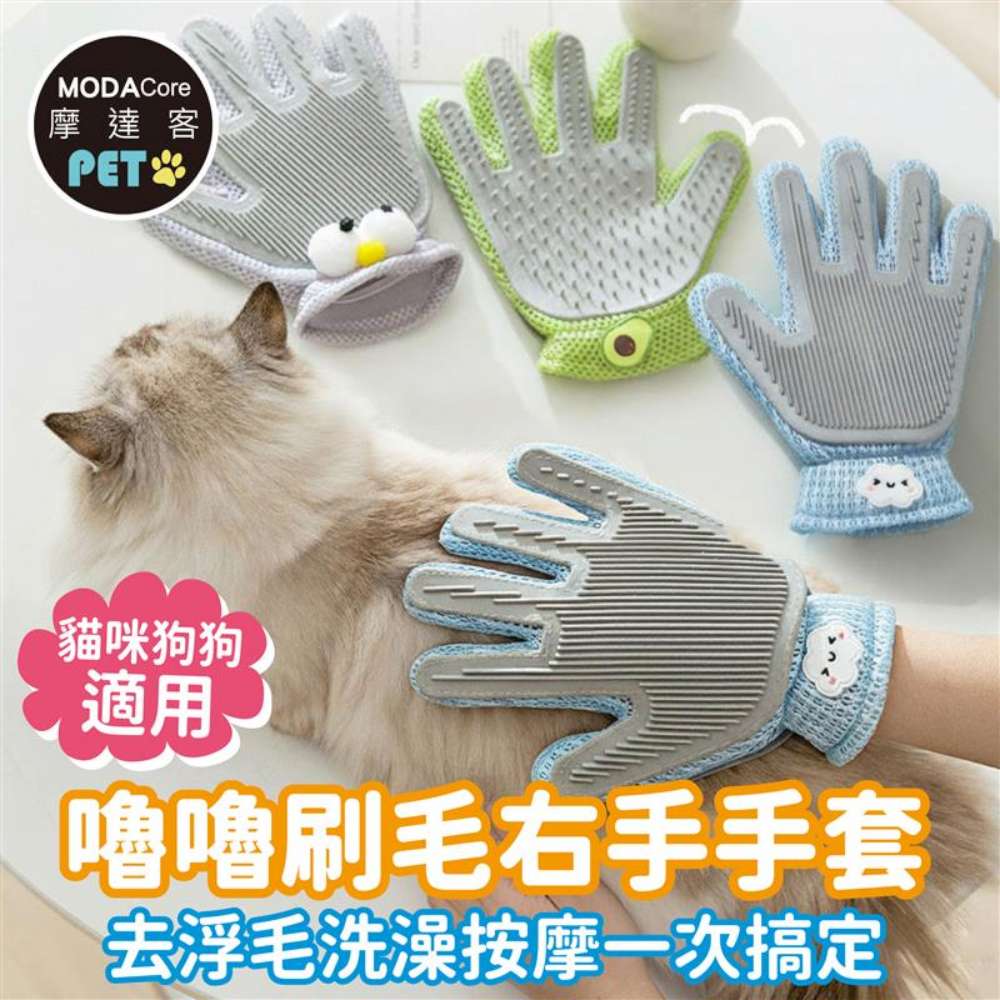 PET, , large