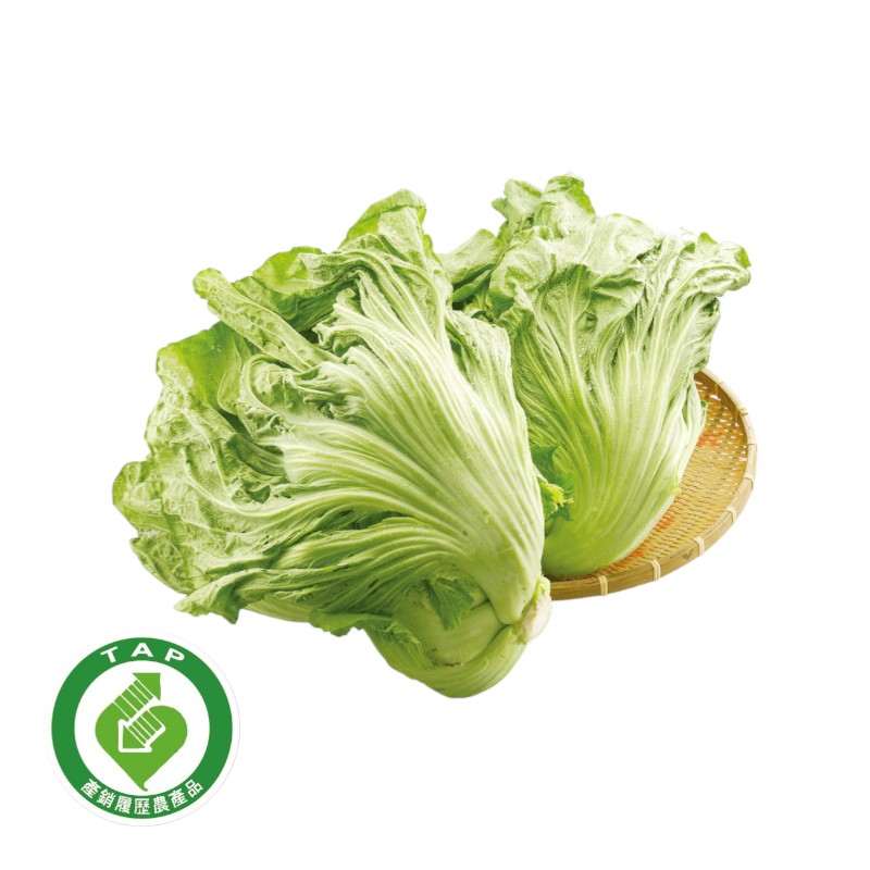 履歷長年芥菜700g, , large