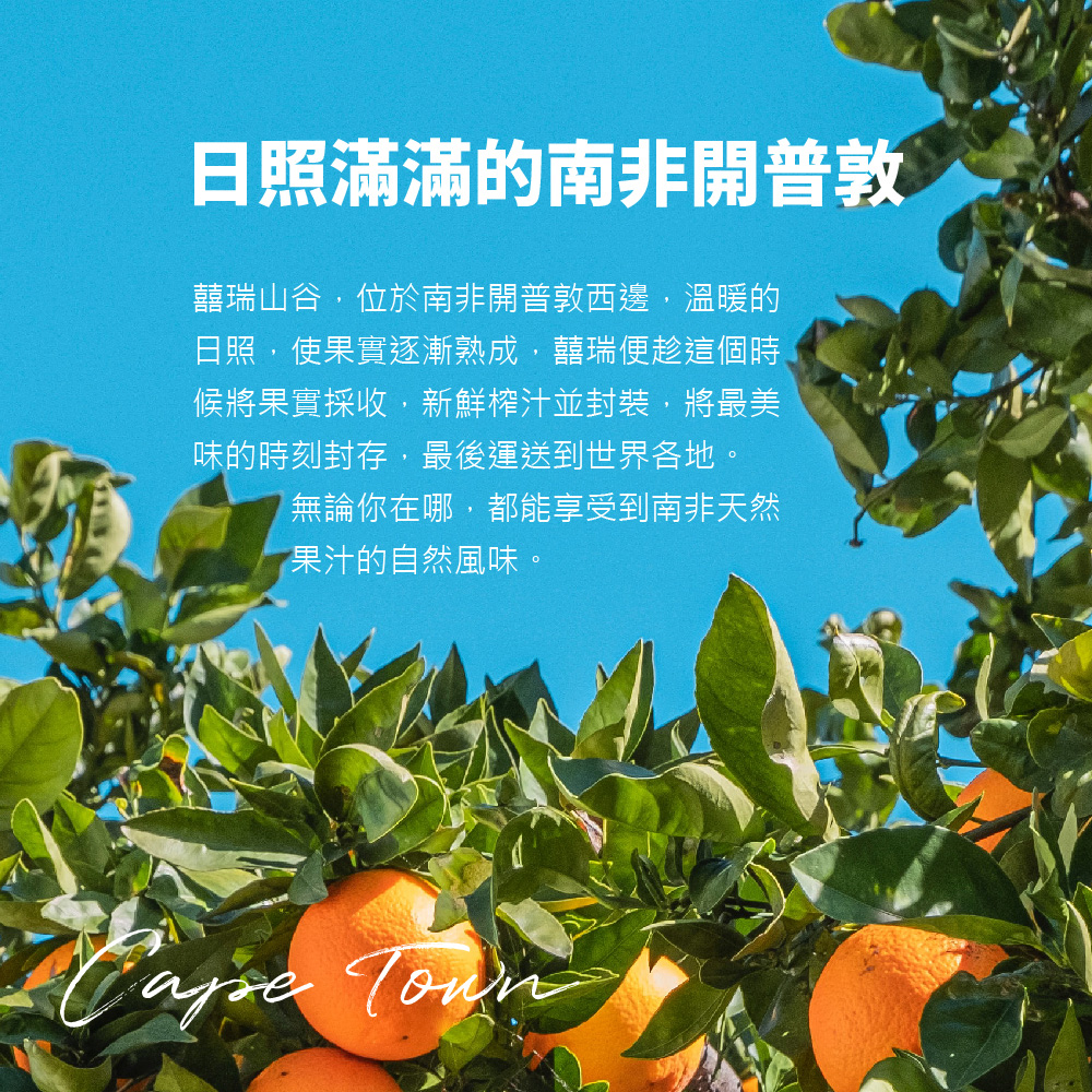 【囍瑞】純天然 100% 蘋果汁原汁(1000ml) x18入組, , large