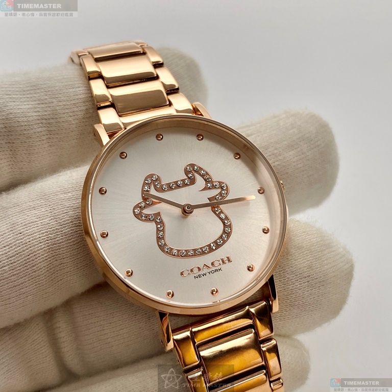 [TIMEMASTER] COACH watch, 36mm, CH00018, , large