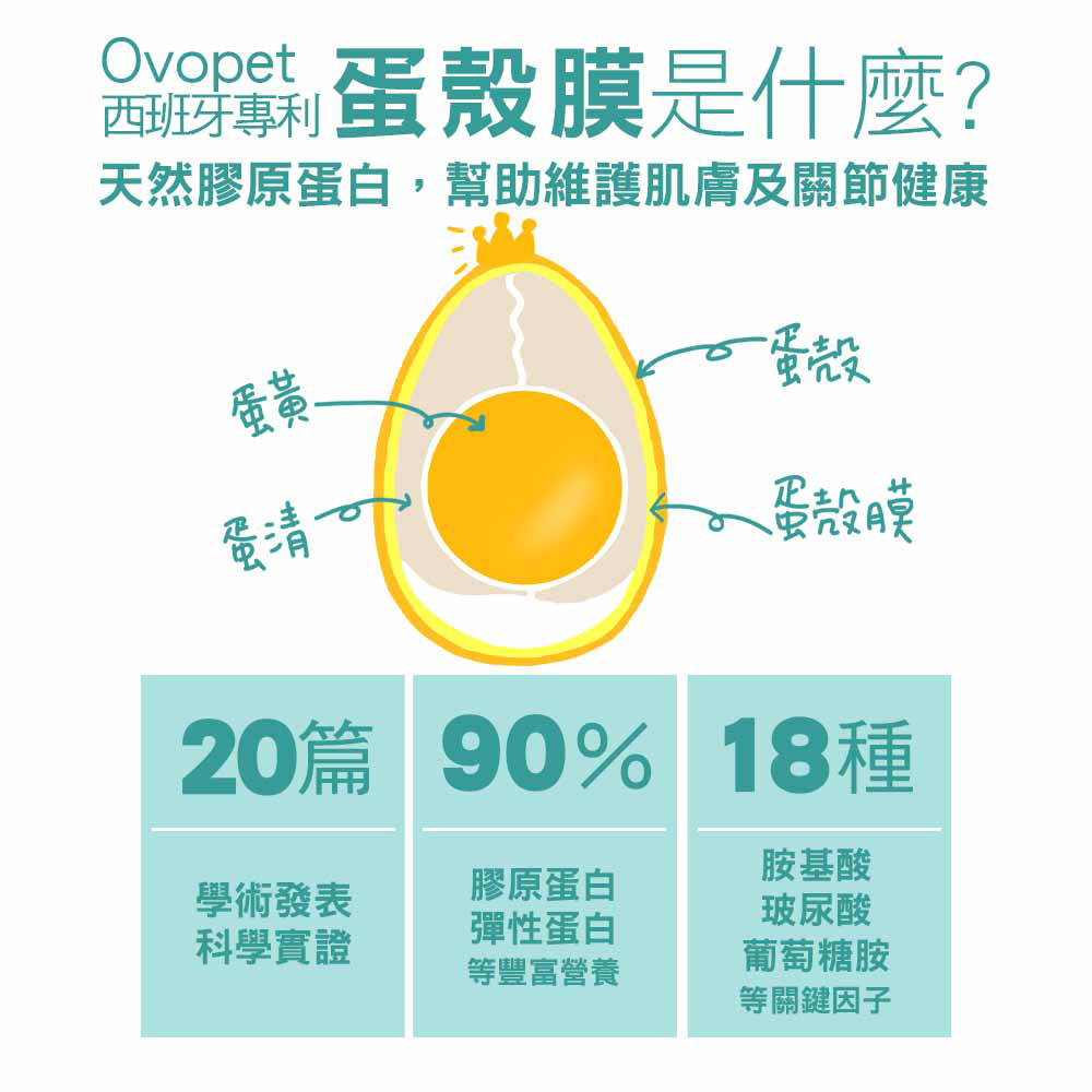 【IN-Plus】蛋殼膜卵磷脂 魚油舒敏配方120顆/罐(全齡犬/寵物保健/寵物魚油/皮膚保健), , large