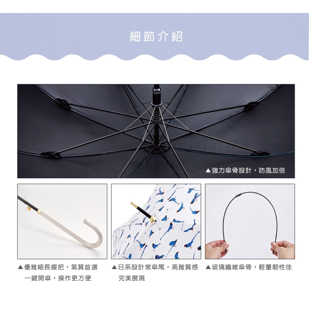 【周周生活】雨傘 現貨 自動傘 遮陽傘 陽傘 台灣藍鵲 直傘 晴雨傘 抗uv 傘 輕量雨傘 日系雨傘 快速出貨, , large