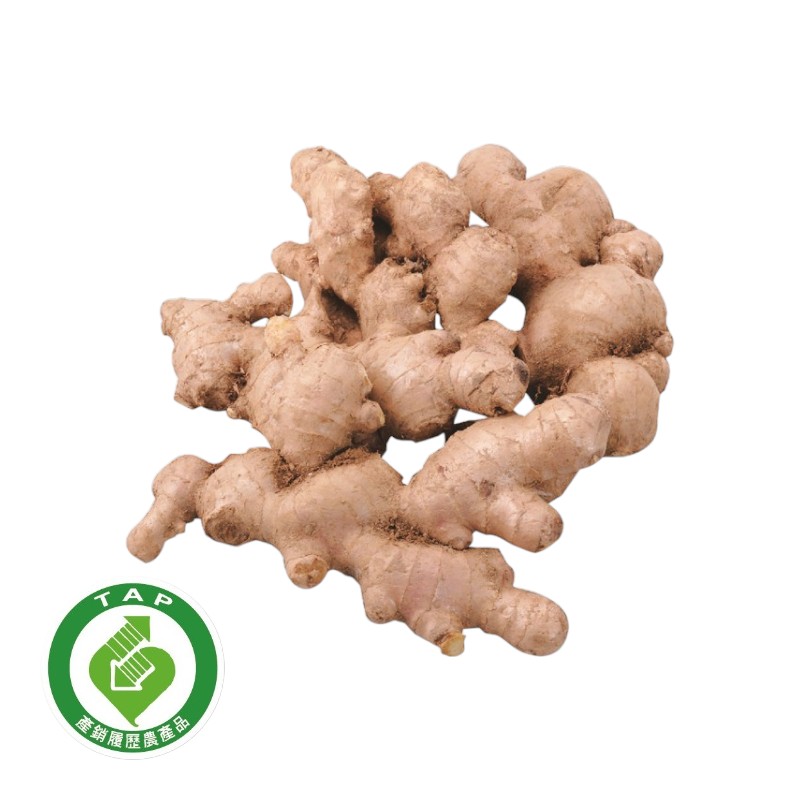 TAP Ginger Root, , large