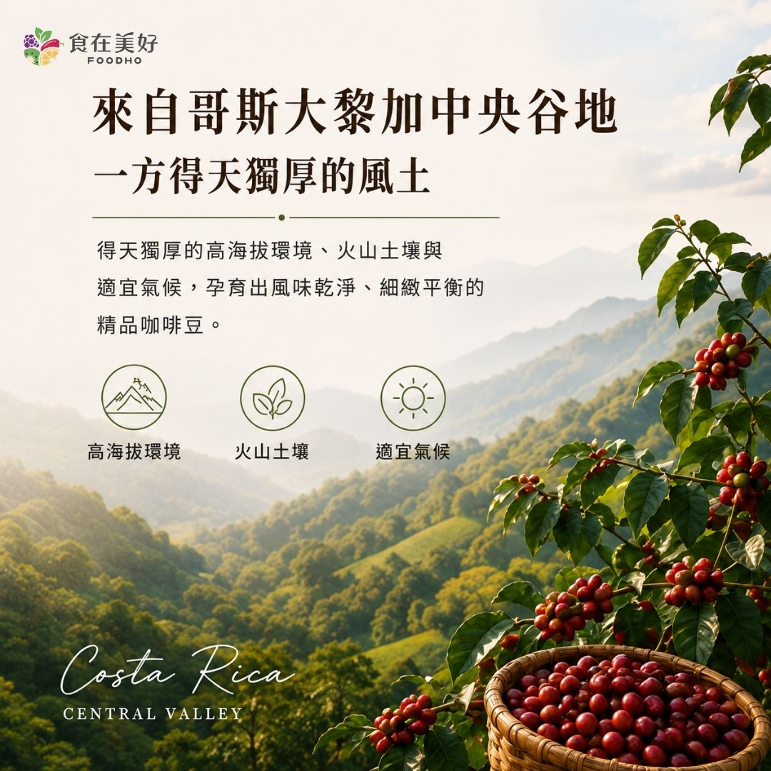 【食在美好】哥斯大黎加蜜韻浸泡咖啡10gX10 精品咖啡, , large
