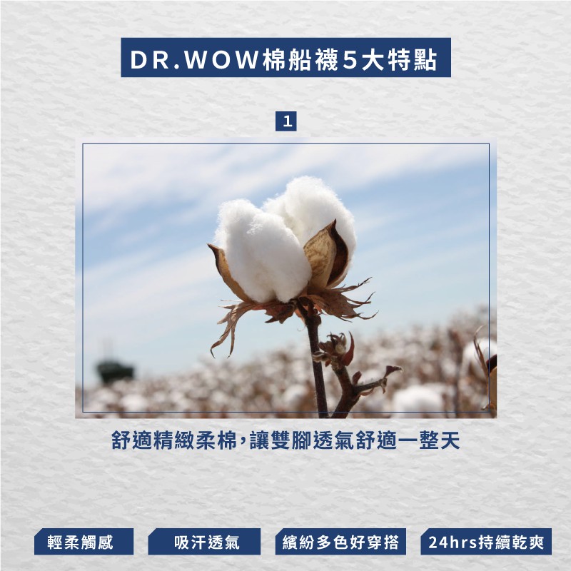 【現貨】MIT台灣製 甜美馬卡龍色 船型襪6雙 _多色, , large