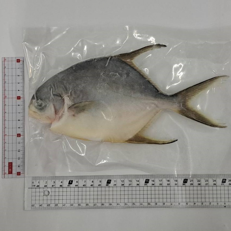 【一夫水產】產銷履歷/黃金鯧魚(250g), , large