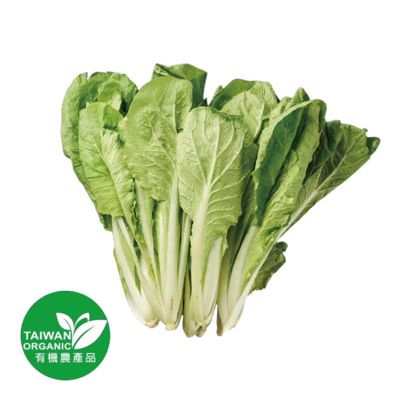 Organic Bok choy, , large