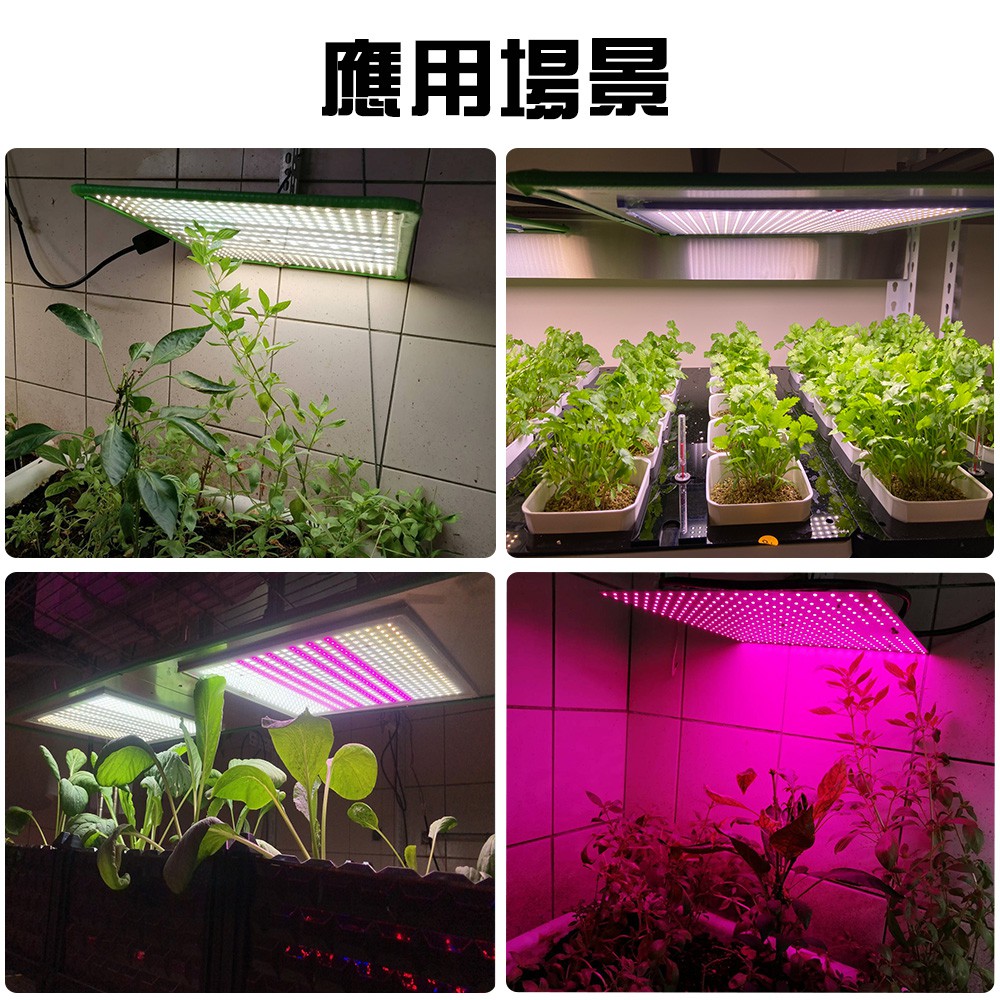 【君沛植物燈】LED植物燈150瓦 量子板 植物燈板 全光譜 led燈板, , large
