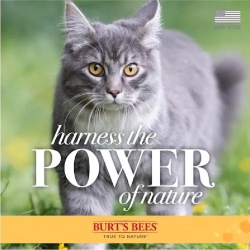 【PawHomie】Burt's Bees 幼貓低敏保濕沐浴露｜蜂蜜牛奶配方・溫和洗護・敏感肌適用, , large