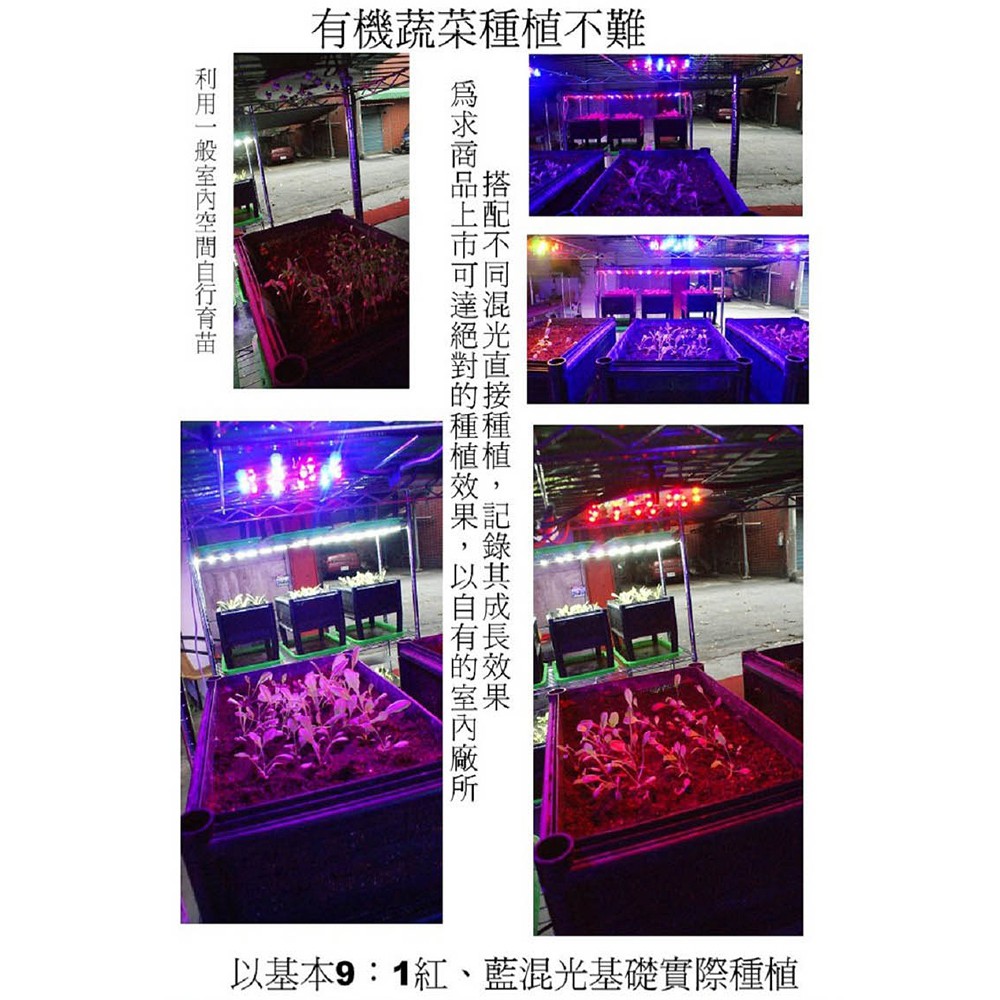 植物生長燈 100瓦 紅 藍光 防水 660nm紅光 明緯電源供應器 臺灣生產 莖葉類植物專用(聚光型), , large