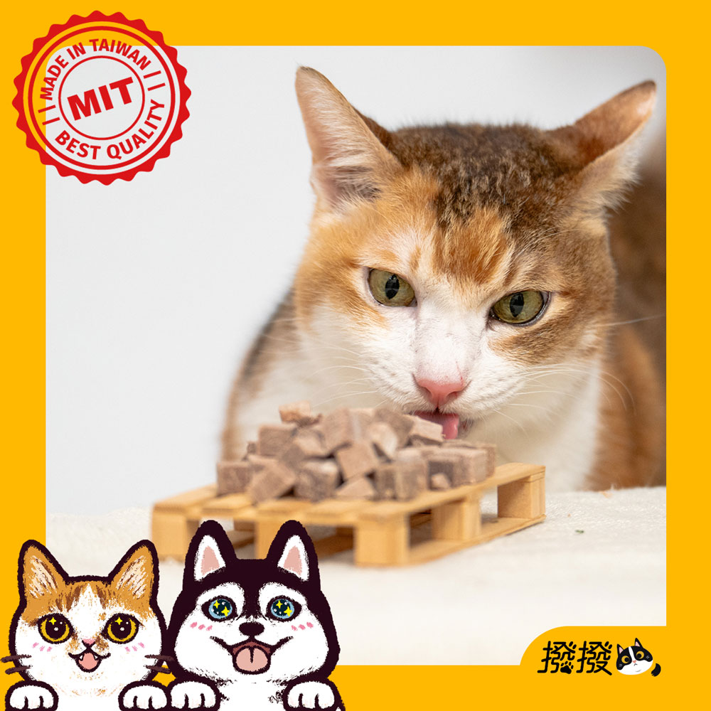 【撥撥】台灣牛肉丁凍乾 (2包/組)-嚴選神農獎御牧牛，貓狗適用原肉凍乾∣每包25g, , large