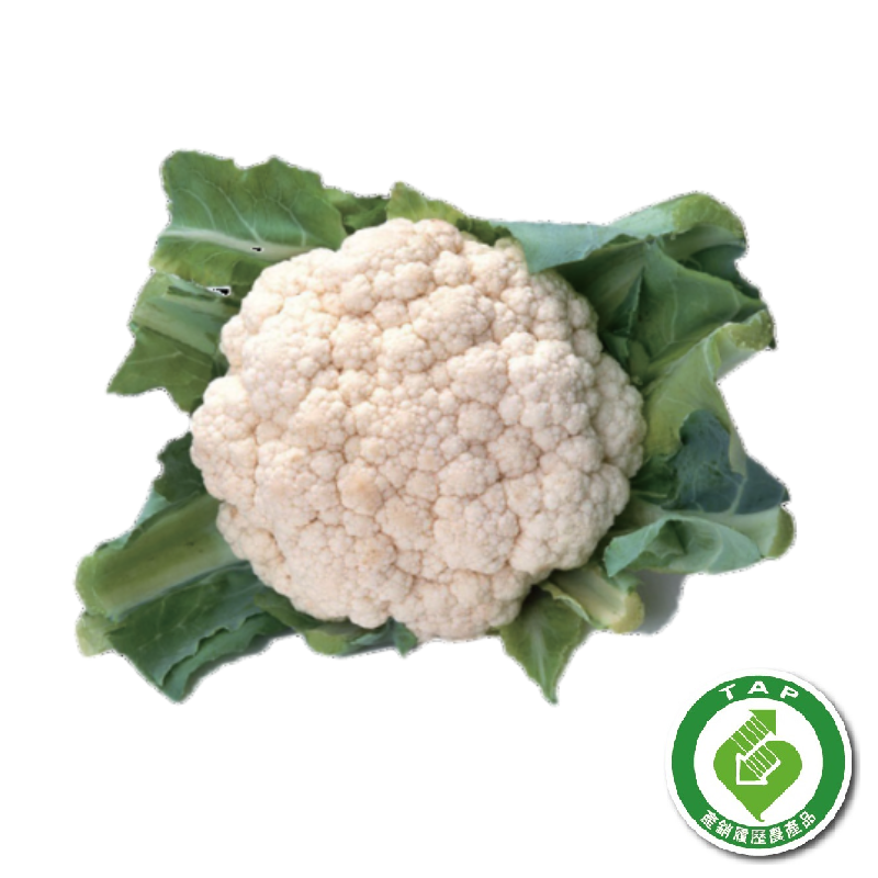 TAP Cauli Flower, , large