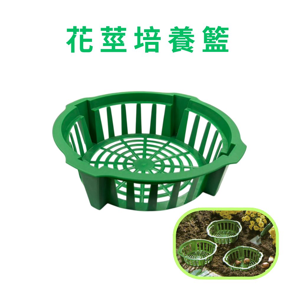 GS MALL 台灣製造 花莖培養籃 球莖種植籃 球根花卉籃 花球莖籃 洋蔥植物籃 花球莖碗 植物碗 繁殖托盤, , large