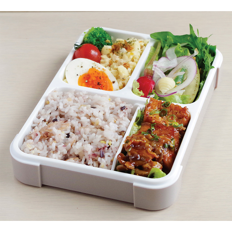 Thin lunch box Antibacterial Foodman 600, , large