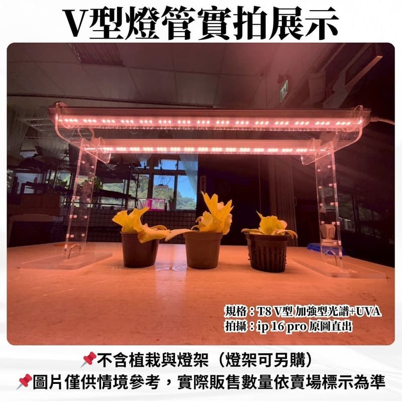 【君沛】V型雙排 UVA顯色 3呎 T8一體式植物燈 40W 加強型光譜 抑制徒長 龍舌蘭 塊根 植物櫃層架補光 免燈座, , large