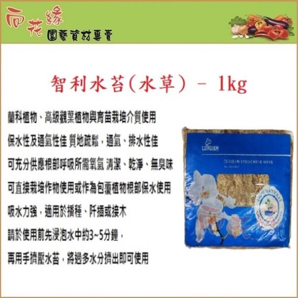 Chilean sphagnum moss 1kg, , large