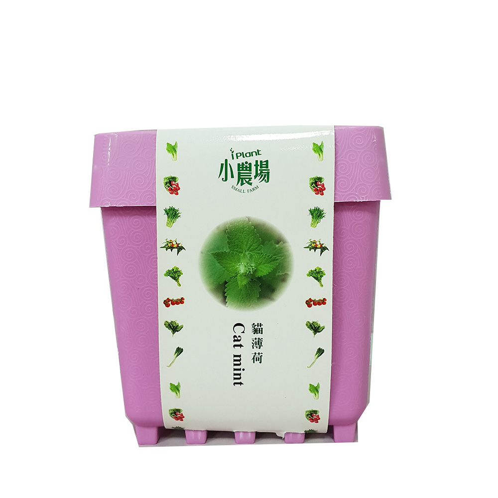 iPlant, , large