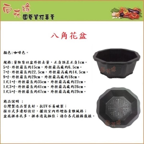 Octagonal Flower Pot - 5 inch, , large