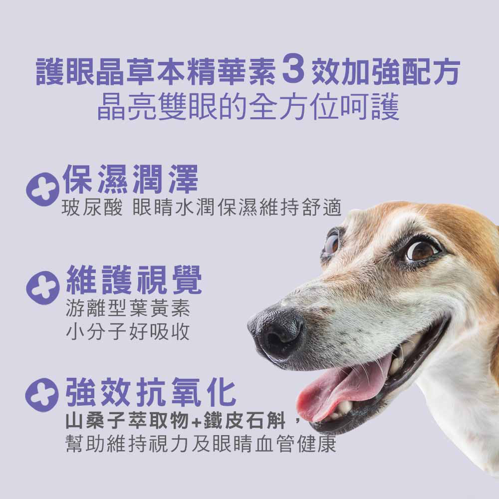 【IN-Plus】護眼晶草本精華素 三效加強配方40g/罐(全齡犬/狗眼睛保健), , large