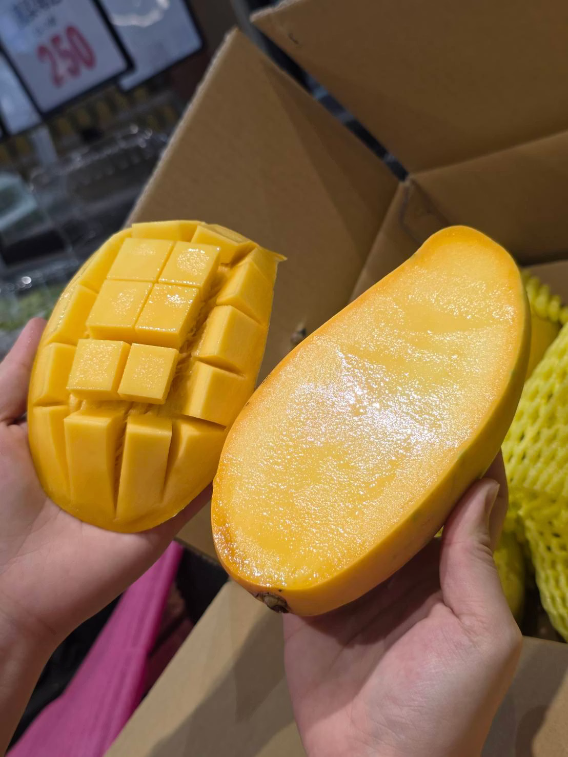 Jin Huang Mango, , large