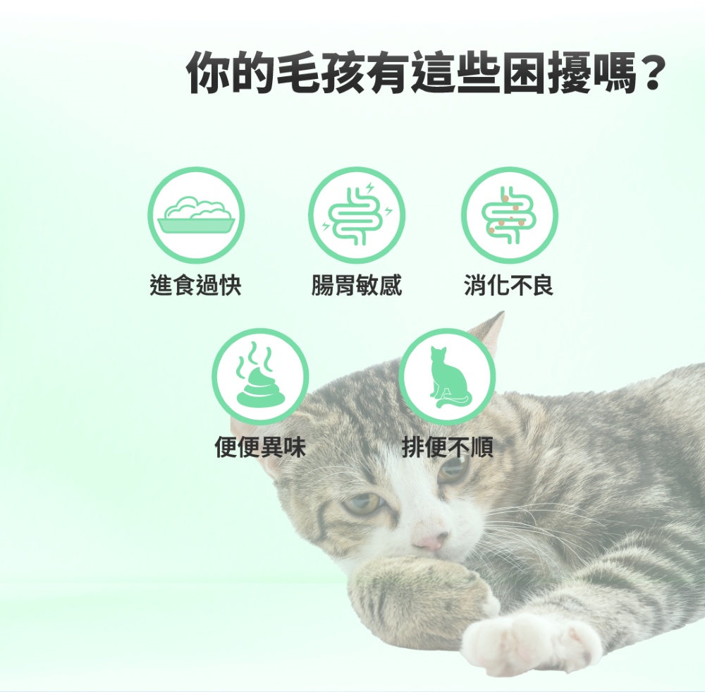 【GOMO PET FOOD】菌衡原力/全齡貓腸胃保健配方1.5kg 貓飼料 貓糧, , large