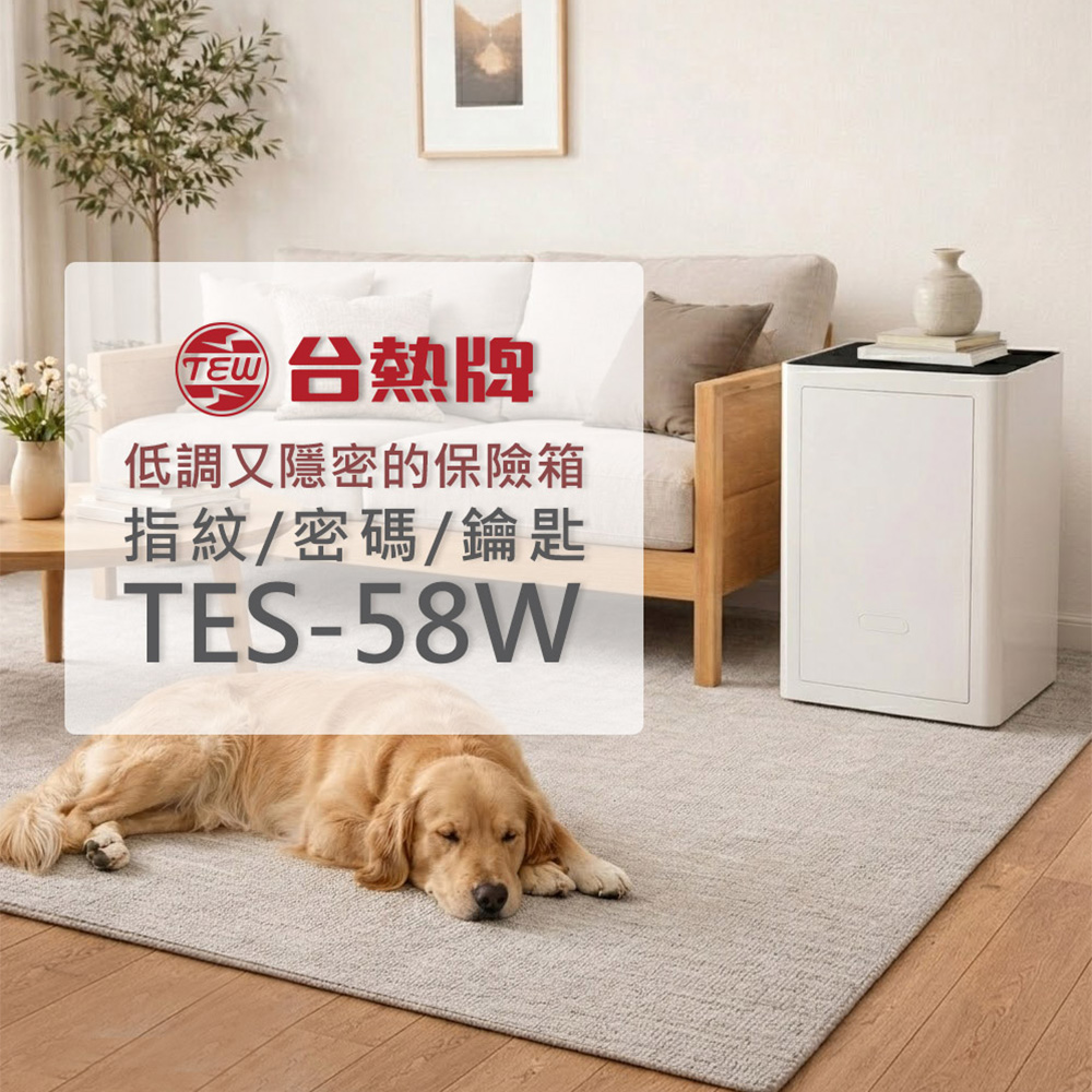 台熱牌 指紋/密碼/鑰匙/遠端控制智能保險箱/櫃(TES-58W), , large