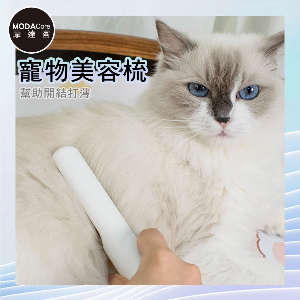 PET, , large
