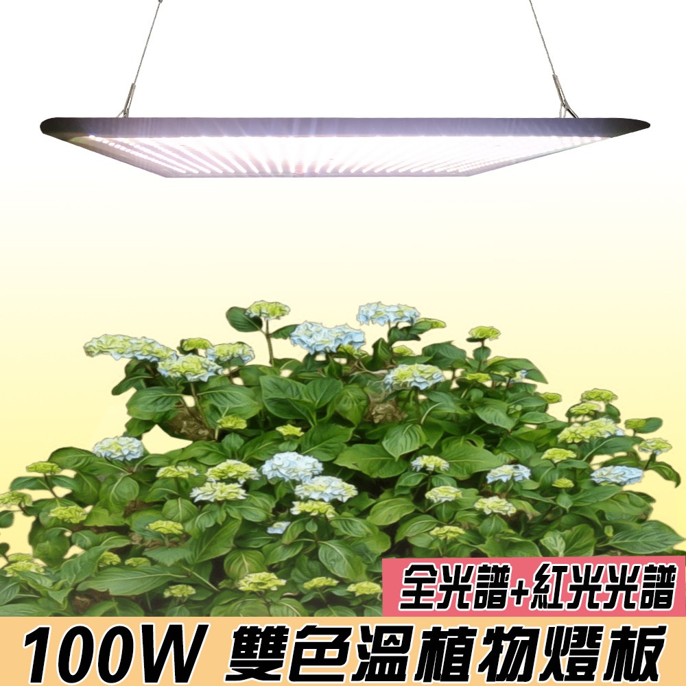 【君沛植物燈】LED植物燈 100瓦 吊掛式 植物燈 雙色溫 植物成長專用燈 植物生長燈, , large