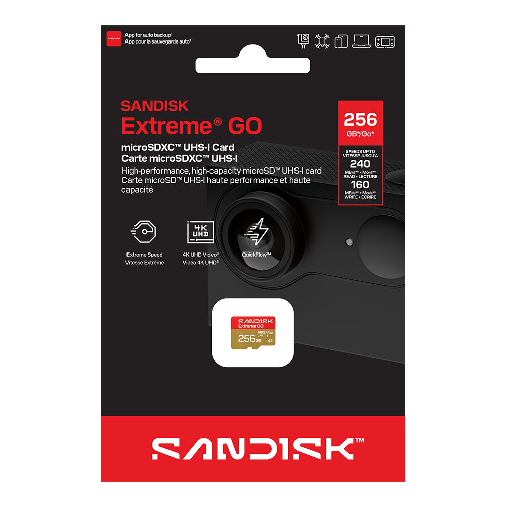 SanDisk microSD card, , large