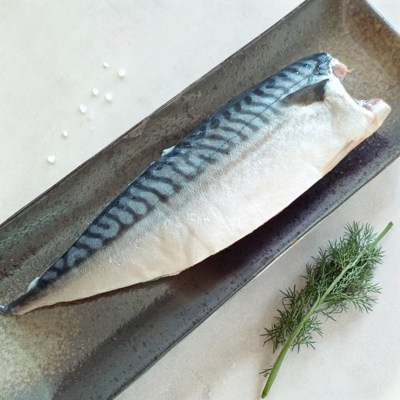 【一夫水產】挪威－頂級鯖魚, , large