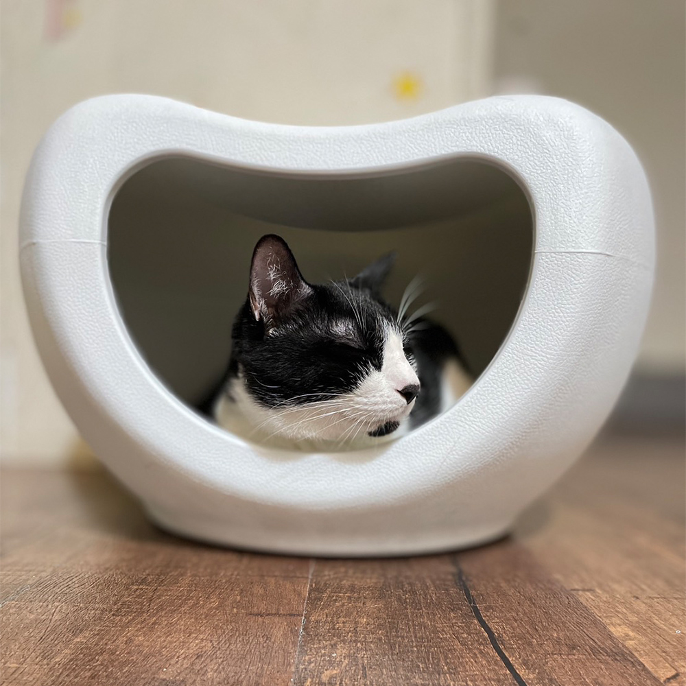 pet bed, , large
