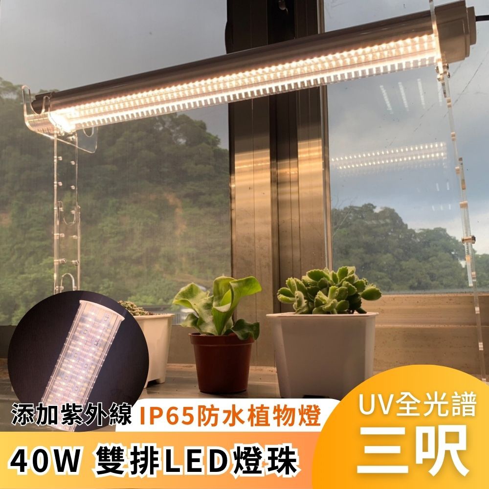 【君沛】UV紫外線 3呎 40W 防水植物燈 全光譜 三防燈 LED生長燈 多肉顯色 龍舌蘭 控養防徒長 植物架補光, , large