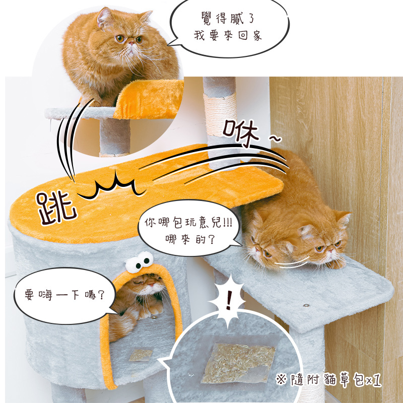 【Y HOUSE】四景一房雲端喵屋貓宅/貓跳台/貓爬架/貓窩/貓玩具/法蘭絨/大型貓窩, , large