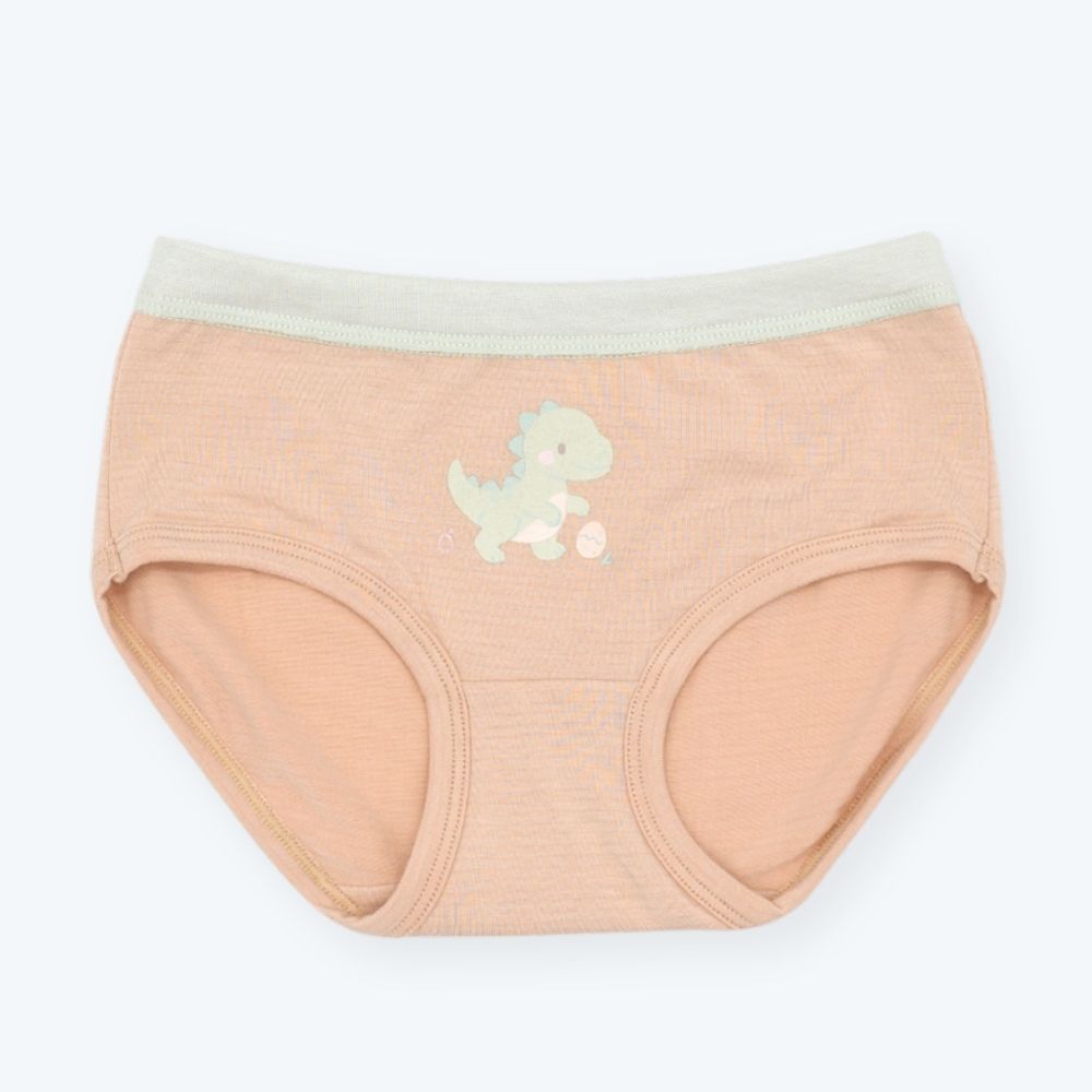【minihope美好的親子生活】女童三角褲(白竹炭)-暴龍, , large