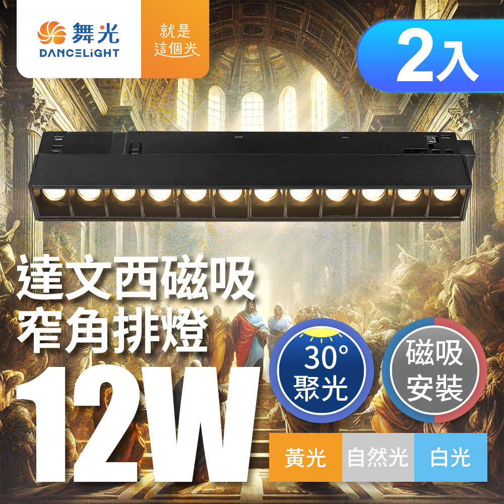DanceLight舞光 2入組 12W 達文西磁吸 30度窄角排燈(白光/自然光/黃光), , large