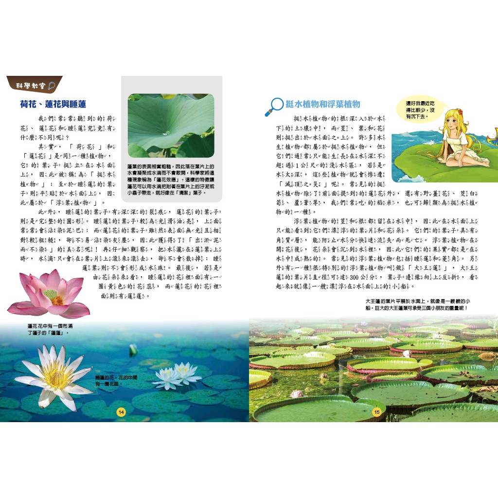 [小牛頓] 故事中的科學(共4冊) 適合6-12歲 平裝全彩 故事結合科學知識點, , large