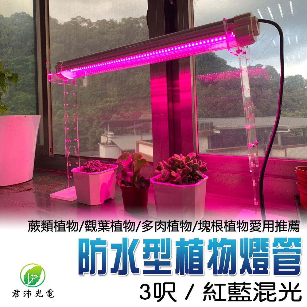【君沛】防水 3呎 40W 植物燈 紅藍混光 三防燈 LED植物生長燈 多肉顯色 育苗 防徒長 陽台補光, , large