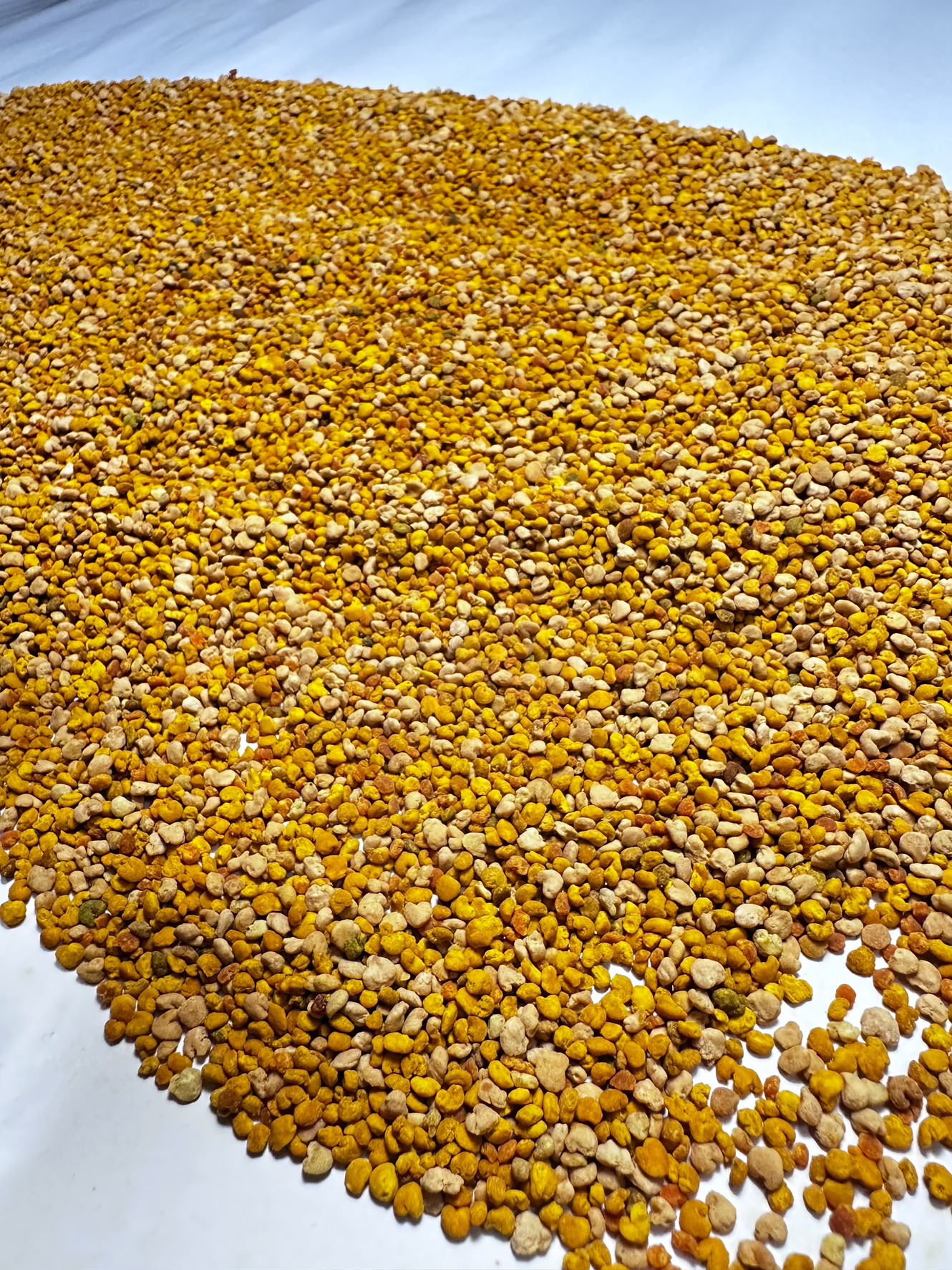 [皇廷] A級櫸木(白雞油)蜂花粉500g補充包, , large