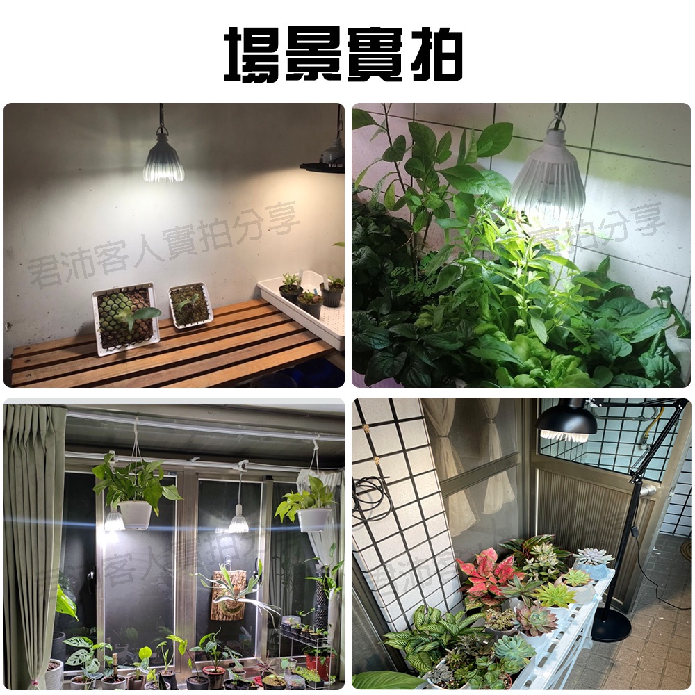 【君沛植物燈】LED植物燈 e27植物燈泡 夾式植物燈 40W全光譜 植物生長燈 塊根 龍舌蘭 鹿角蕨 龜背芋, , large